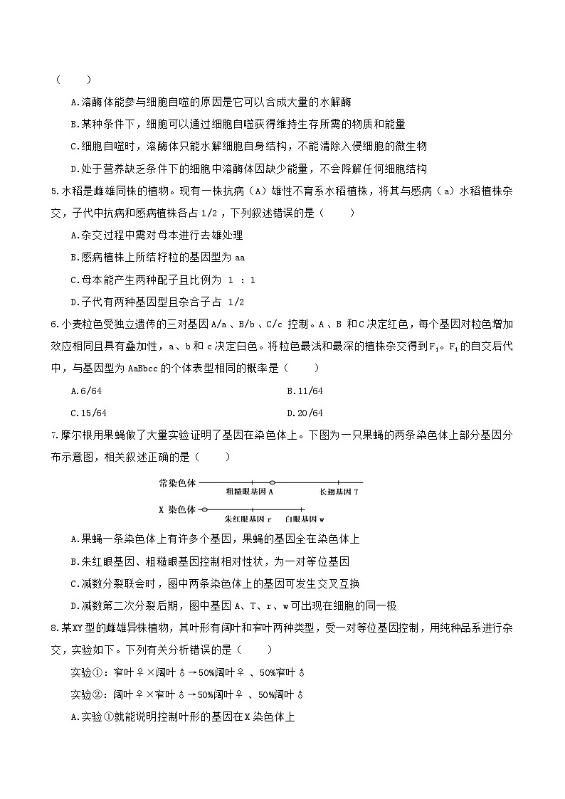 四川省自贡市蜀光中学2024-2025学年高二上学期开学考试生物试题02