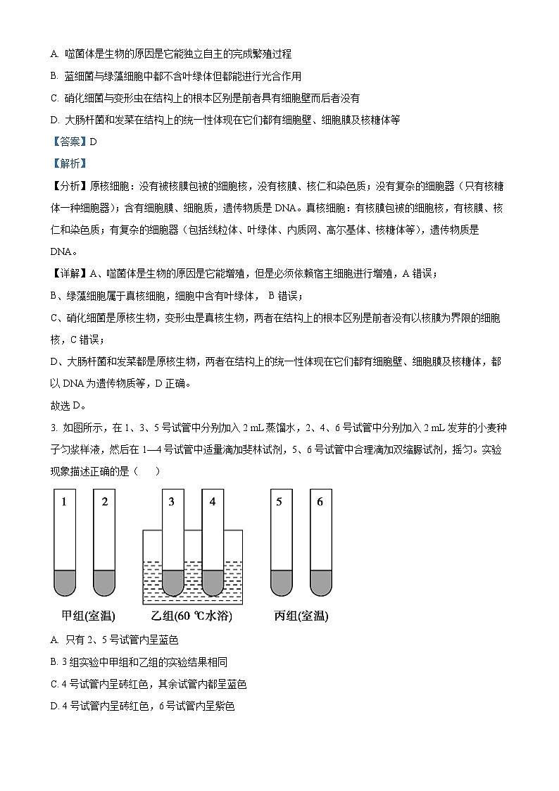 陕西省韩城市象山中学2024-2025学年高三上学期第一次月考生物试题(解析版)02