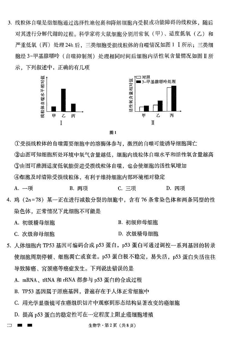 云南省昆明市五华区云南师范大学附属中学2024-2025学年高三上学期9月月考生物试题第2页