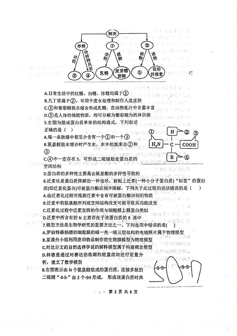 山西省孝义中学校2024-2025学年高三上学期学业水平质量检测生物试题02