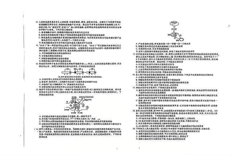 云南省红河州2024-2025学年高二上学期9月月考生物试题第2页