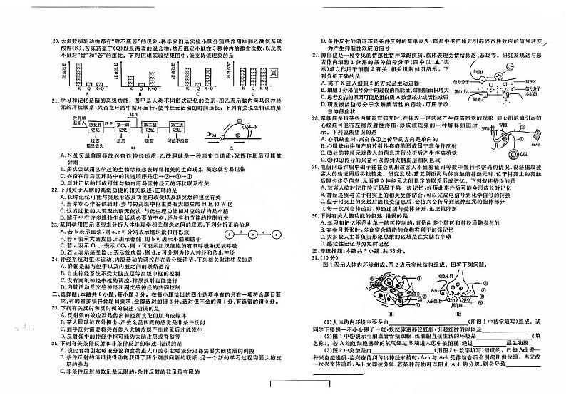 云南省红河州2024-2025学年高二上学期9月月考生物试题第3页