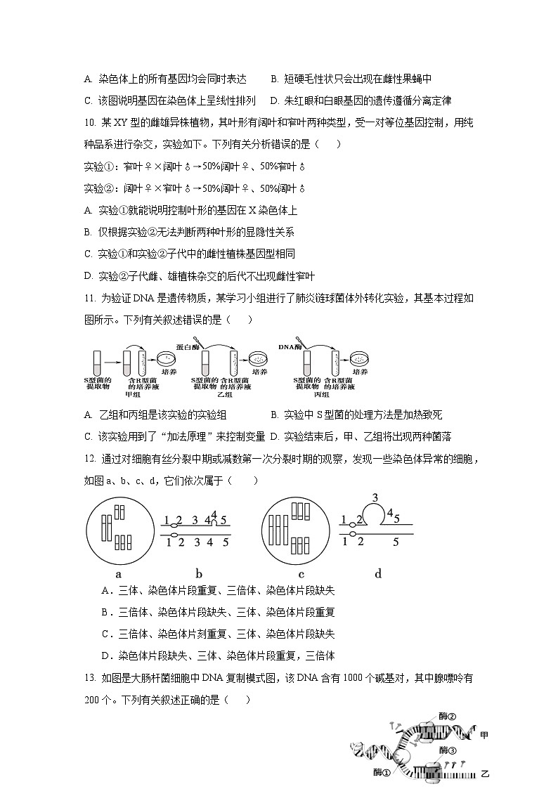四川省遂宁市船山区遂宁中学校2024-2025学年高二上学期开学考试生物试题第3页