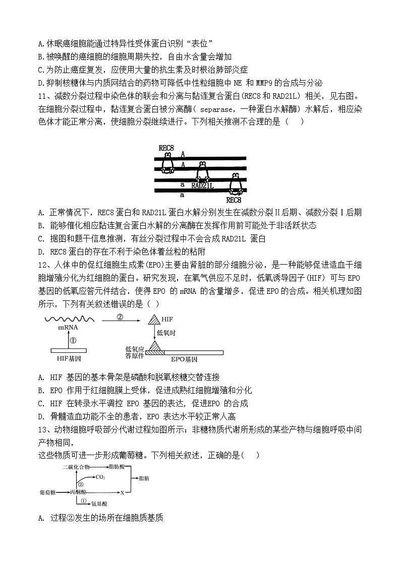 四川省成都市树德中学2024-2025学年高三上学期开学考试生物试题第3页
