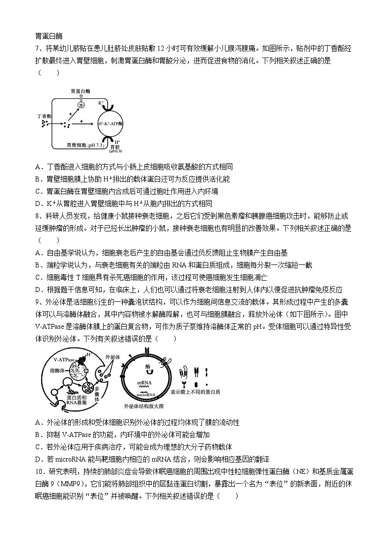 四川省成都市树德中学2024-2025学年高三上学期开学考试生物试题02