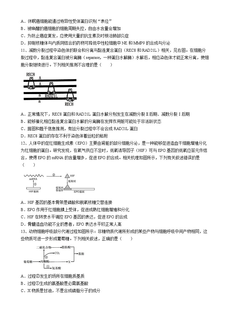 四川省成都市树德中学2024-2025学年高三上学期开学考试生物试题03