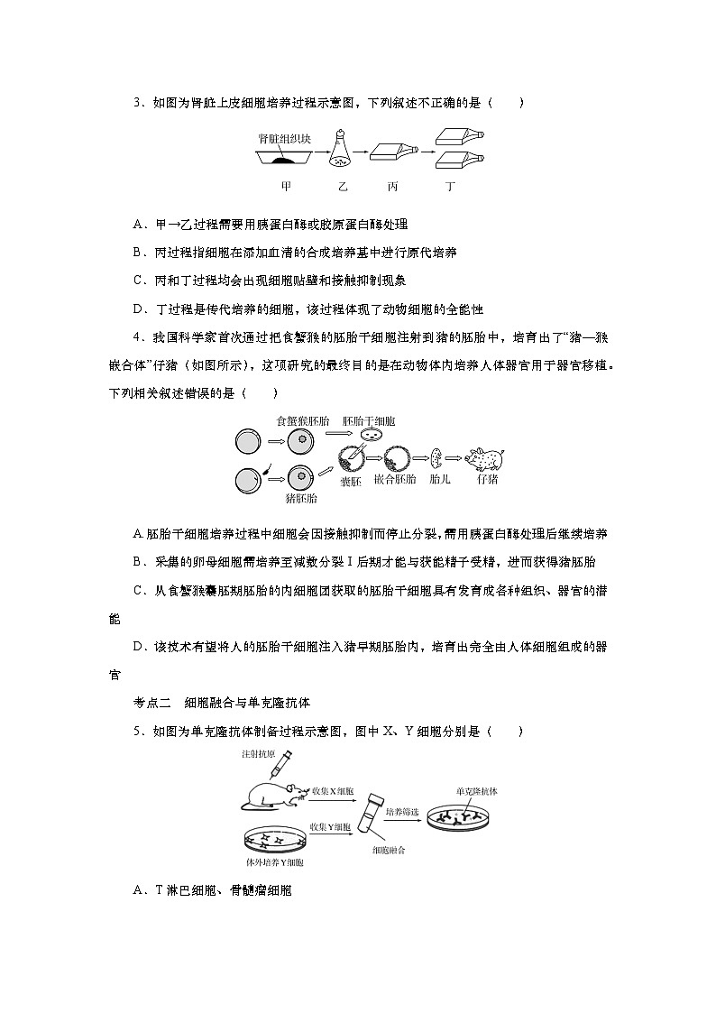 2025届高中生物一轮分层复习检测案41 动物细胞工程(含解析)第2页