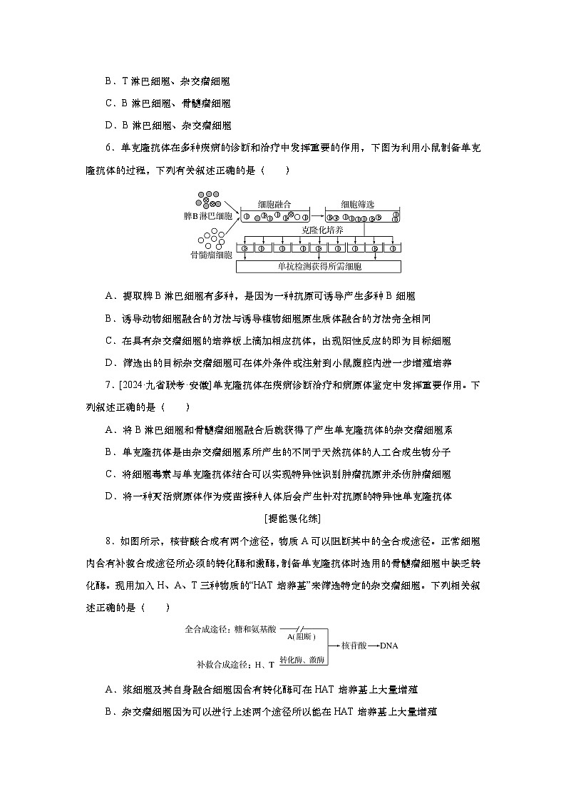 2025届高中生物一轮分层复习检测案41 动物细胞工程(含解析)第3页