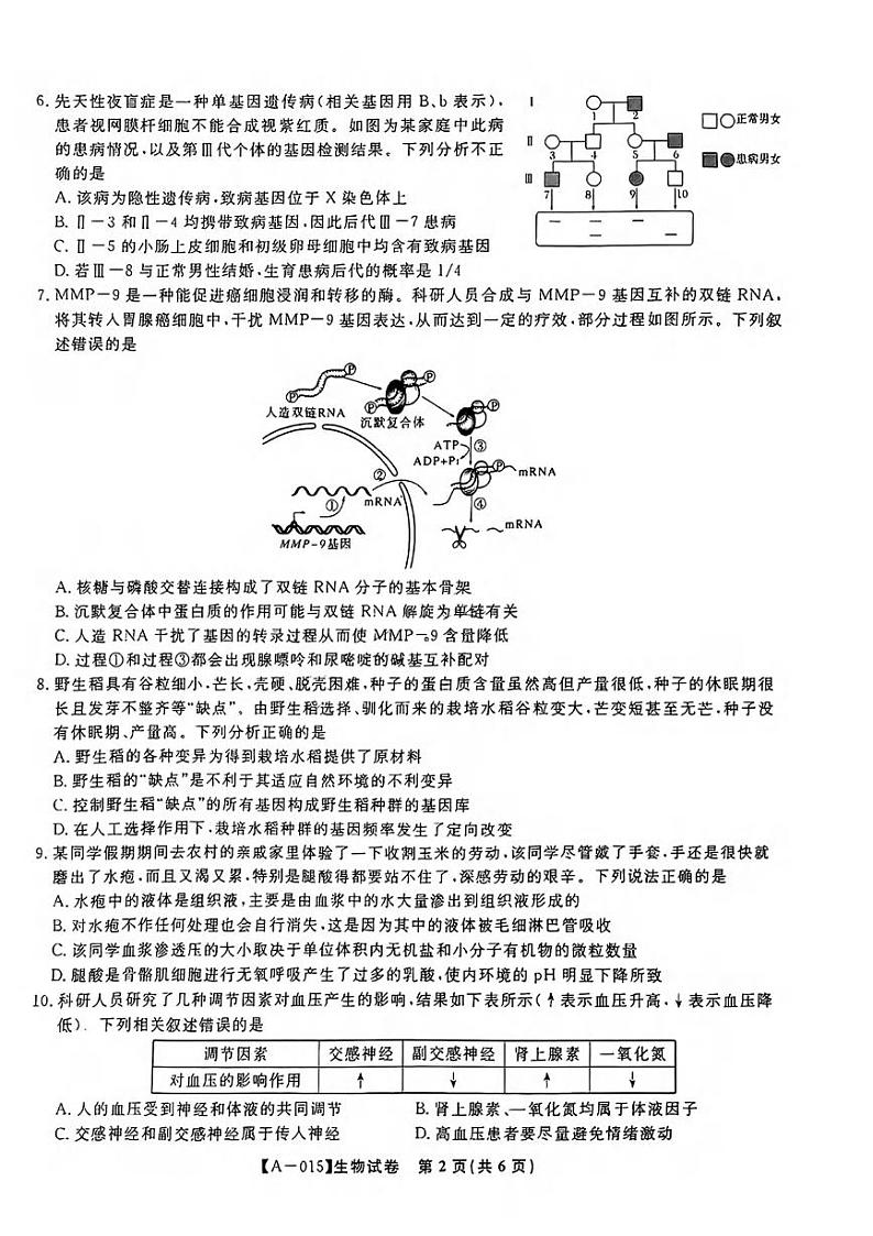 生物丨安徽省县中联盟2025届高三9月联考生物试卷及答案第2页