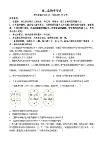河北省保定市部分高中2024-2025學(xué)年高二上學(xué)期開學(xué)考試生物試題（Word版附答案）