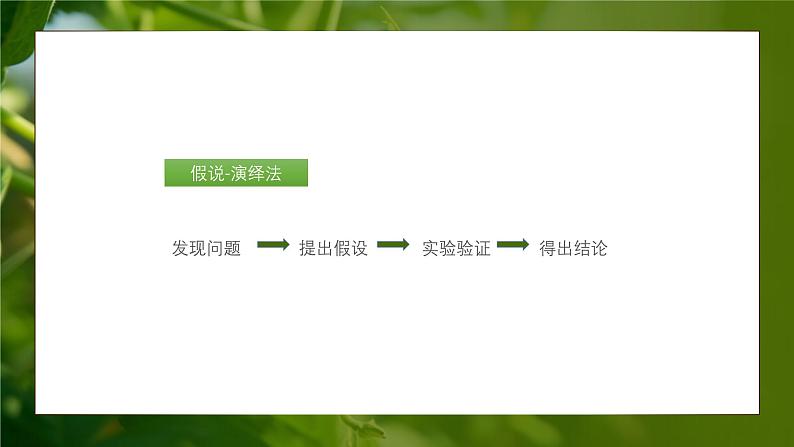 人教版生物高中必修二第1章 遗传因子的发现第2节孟德尔的豌豆杂交实验(二)(第1课时)课件第4页