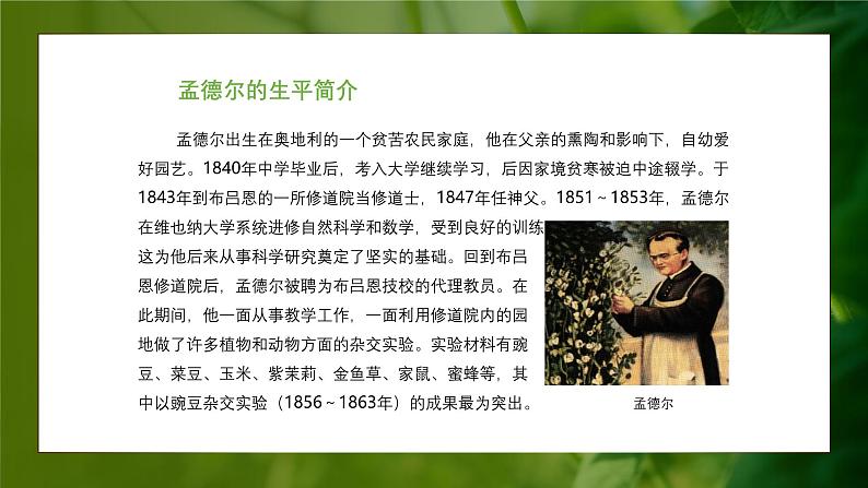 人教版生物高中必修二第1章 遗传因子的发现第1节孟德尔的豌豆杂交实验(一)(第1课时)课件第6页