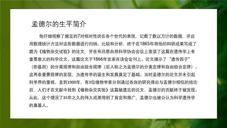 人教版生物高中必修二第1章 遗传因子的发现第1节孟德尔的豌豆杂交实验(一)(第1课时)课件第7页