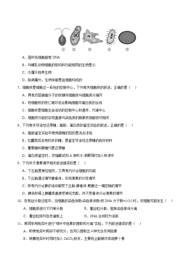 重庆市乌江新高考协作体2024-2025学年高三上学期9月月考生物试题02