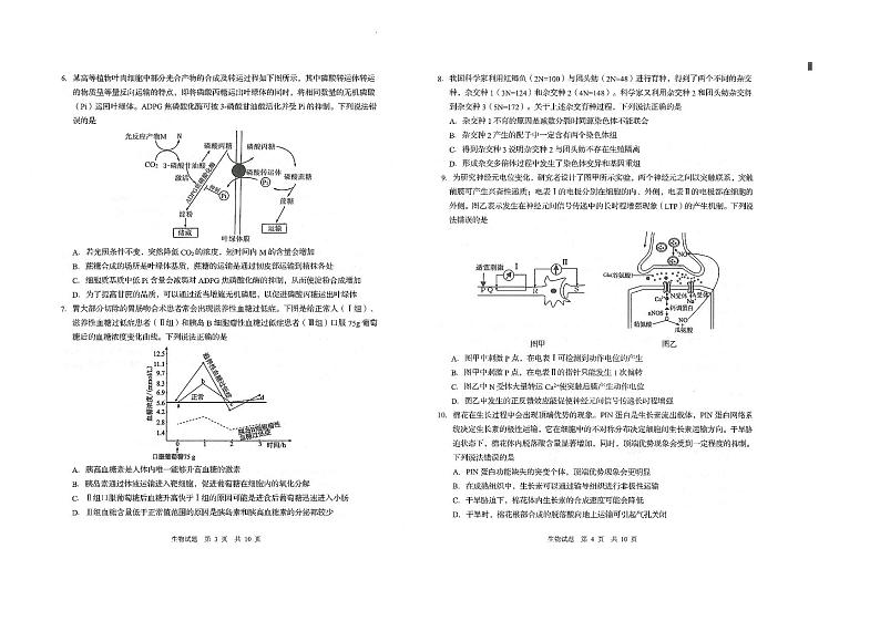 山东省青岛市2024-2025学年高三上学期期初考试生物试题第2页
