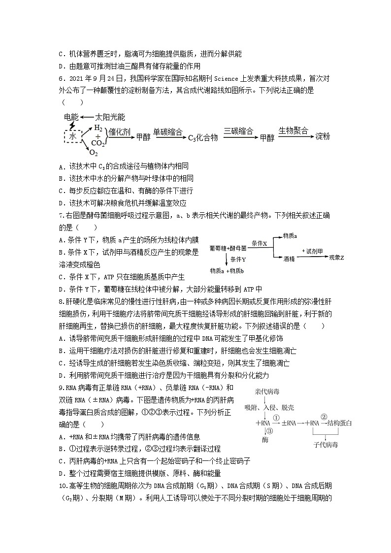 重庆市城口中学 2024-2025学年高二上期开学考试生物试题第2页