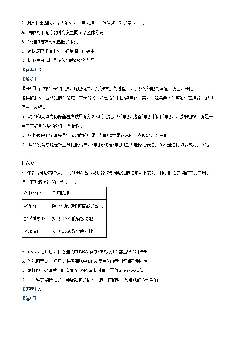 湖南省益阳市2024-2025学年高三上学期9月第一次教学质量检测生物试题(解析版)第2页