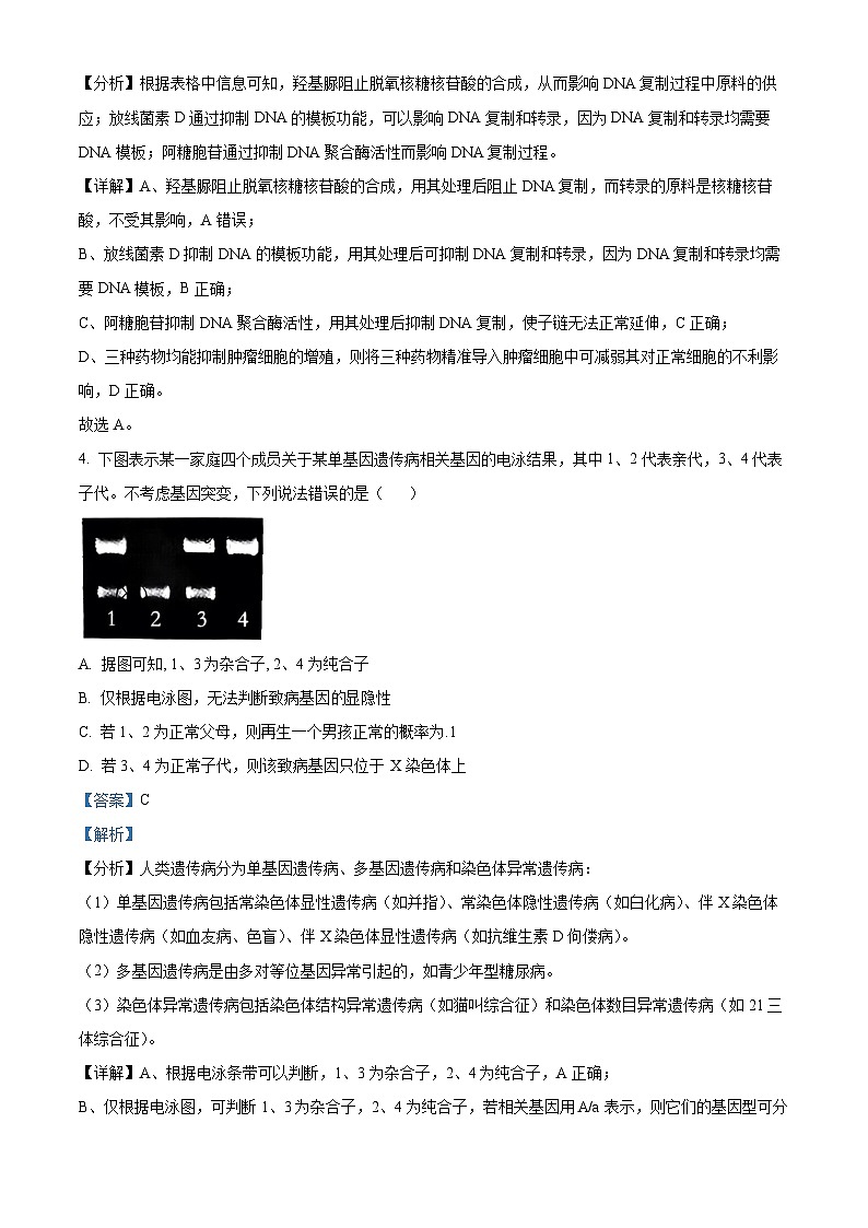 湖南省益阳市2024-2025学年高三上学期9月第一次教学质量检测生物试题(解析版)第3页