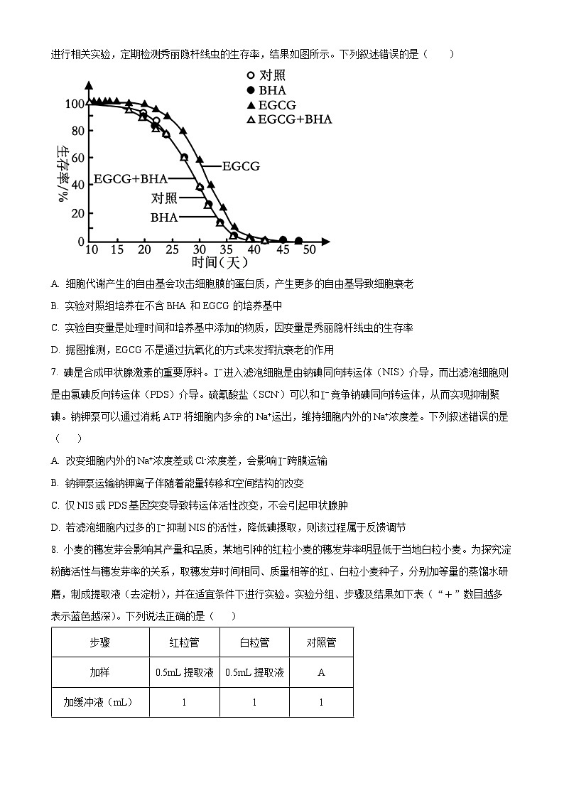 山东省济宁市第一中学2024-2025学年高三上学期开学考试生物试题(Word版附答案)03