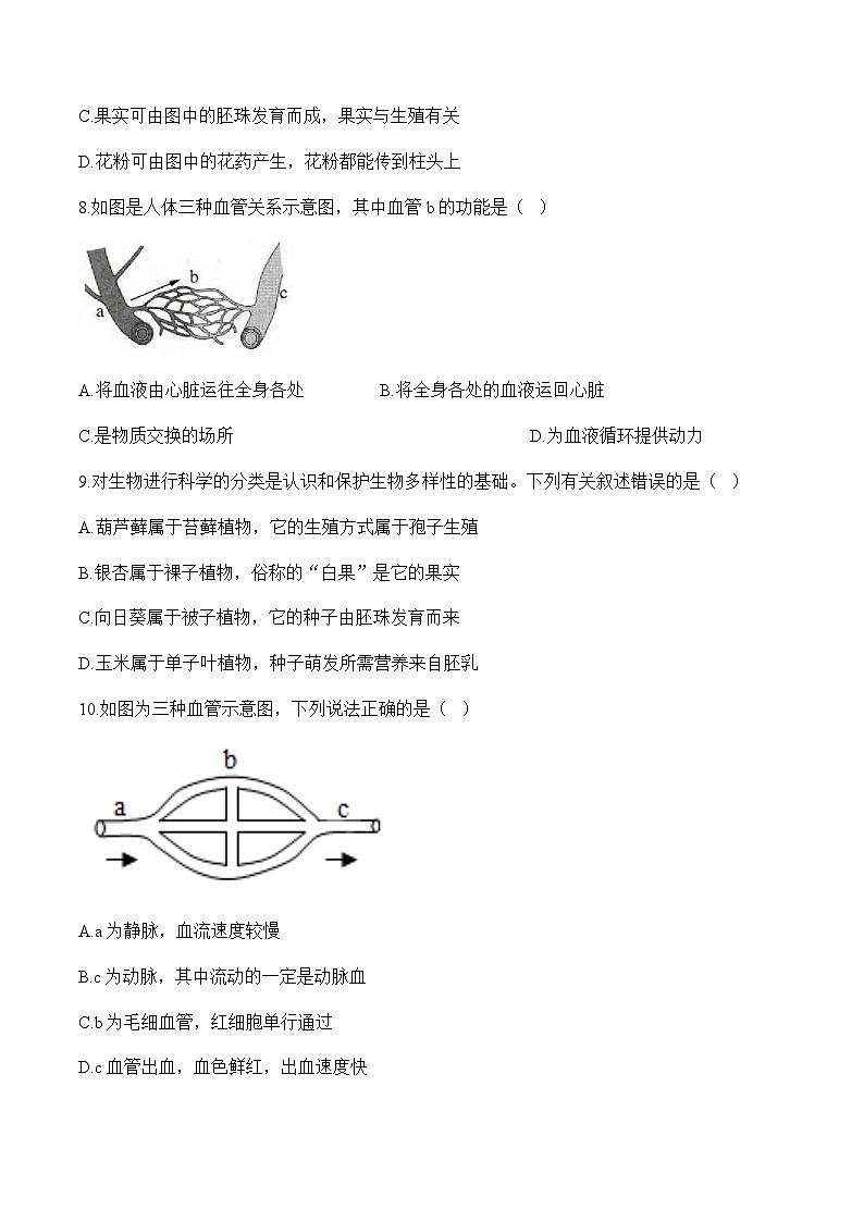 福建省漳州市部分区县2024-2025学年高一上学期开学考试生物试题(Word版附解析)03