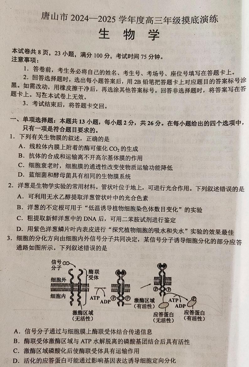 河北省唐山市2024-2025学年高三上学期摸底演练生物试题第1页