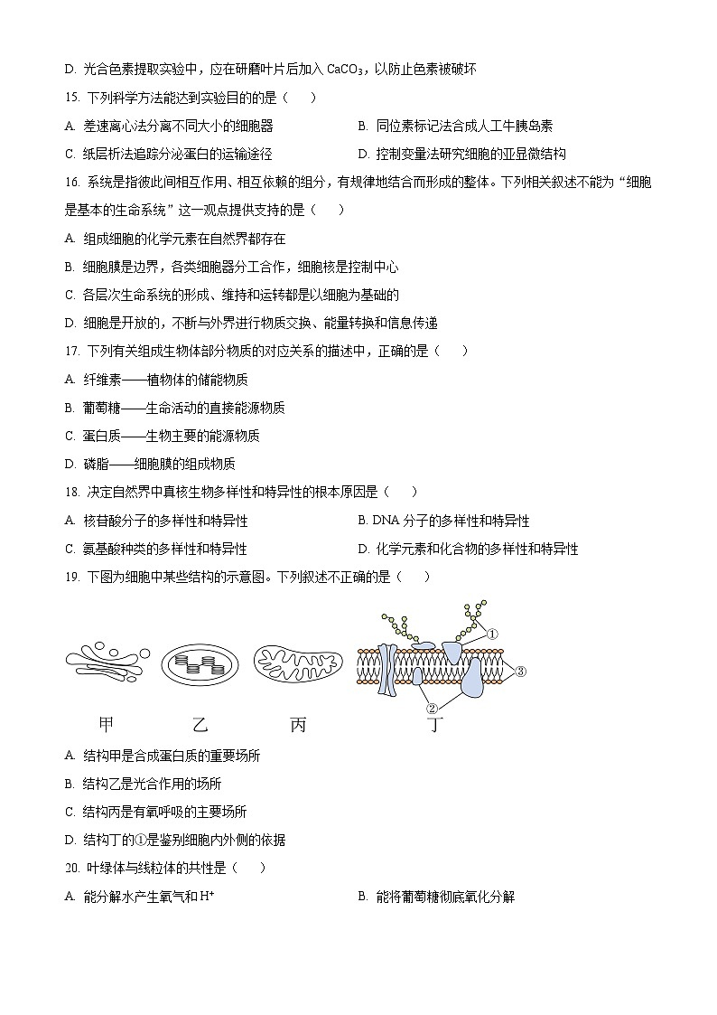 北京市石景山区2023-2024学年高一上学期期末生物试题 Word版无答案第3页