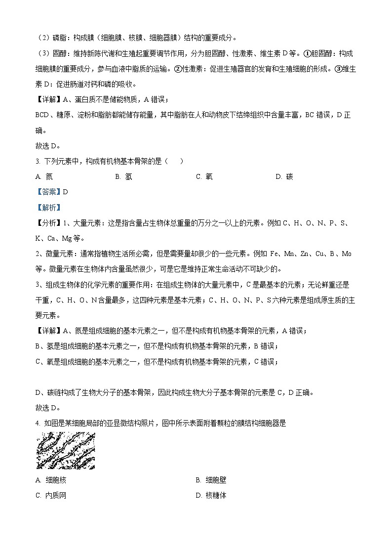 北京市石景山区2023-2024学年高一上学期期末生物试题 Word版含解析第2页