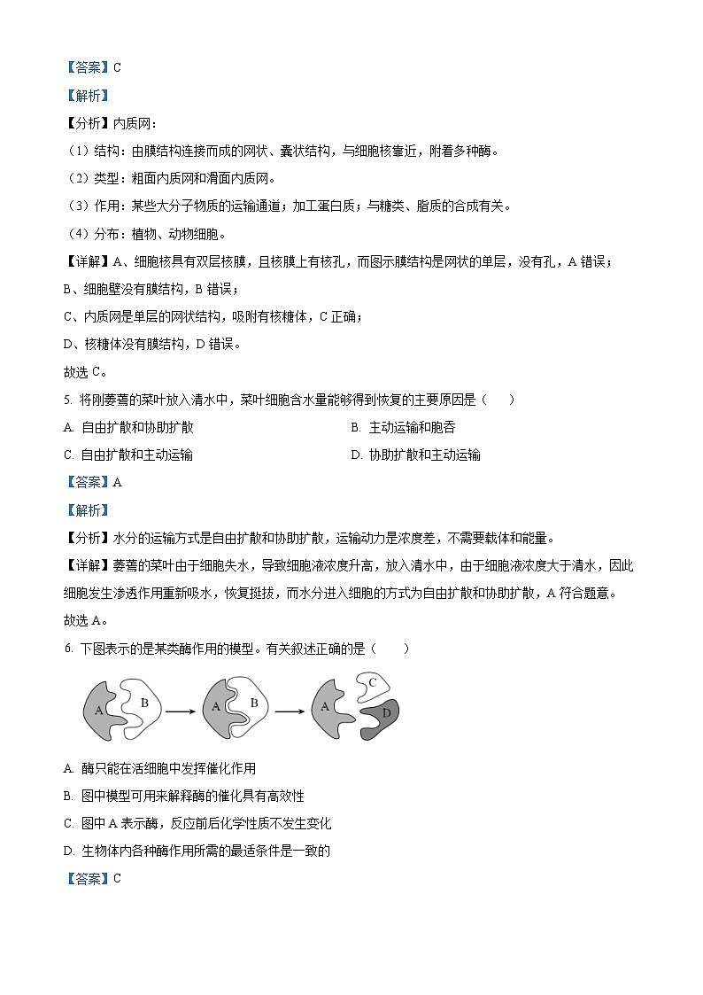 北京市石景山区2023-2024学年高一上学期期末生物试题 Word版含解析第3页