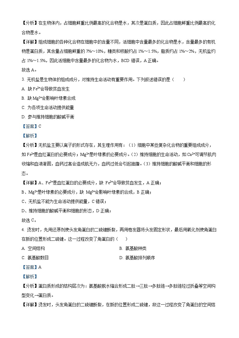北京市顺义区2023-2024学年高一上学期期末考试生物试卷(Word版附解析)02