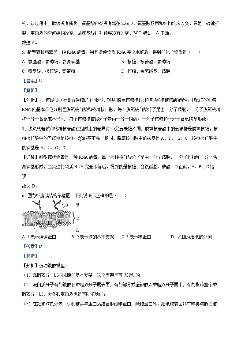北京市顺义区2023-2024学年高一上学期期末考试生物试卷(Word版附解析)03