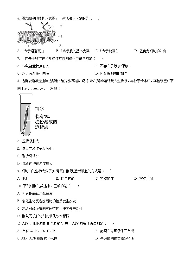北京市顺义区2023-2024学年高一上学期期末考试生物试卷(Word版附解析)02