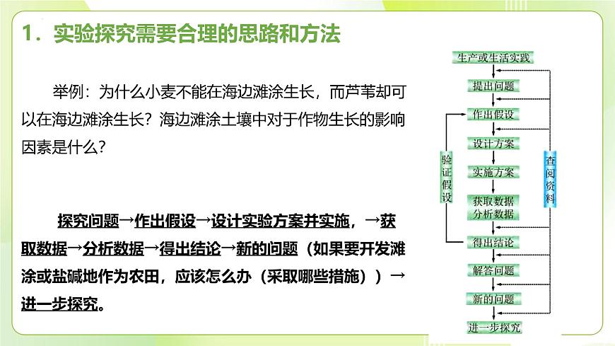 滬科技版(2020)高中生物 必修一 1.2 實(shí)驗(yàn)探究是學(xué)習(xí)生物學(xué)的重要途徑 課件第4頁(yè)