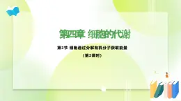 沪科技版(2020)高中生物 必修一 4.3 细胞通过分解有机分子获取能量（第2课时） 课件