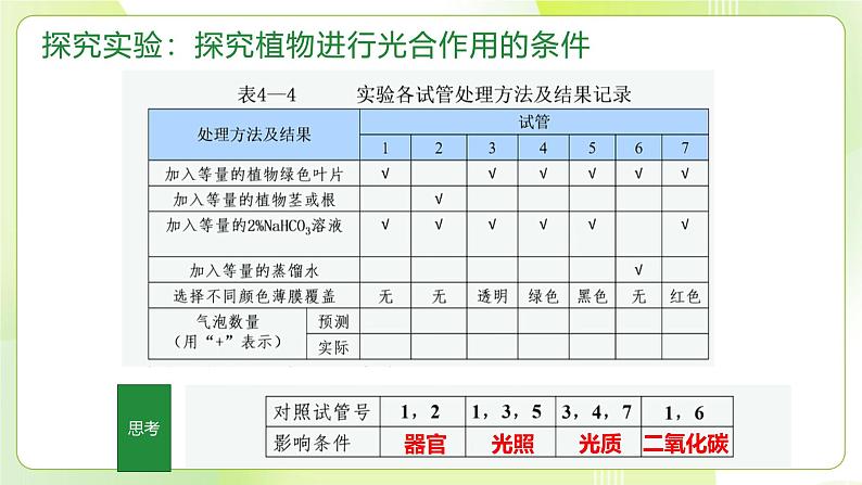 沪科技版(2020)高中生物 必修一 4.4 叶绿体将光能转换并储存在糖分子中(第1课时) 课件05