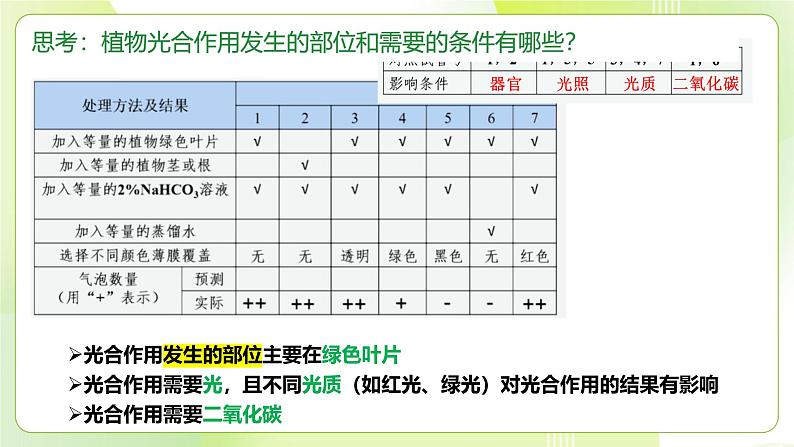 沪科技版(2020)高中生物 必修一 4.4 叶绿体将光能转换并储存在糖分子中(第1课时) 课件07