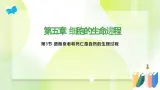 沪科技版(2020)高中生物 必修一 5.3 细胞衰老和死亡是自然的生理过程  课件