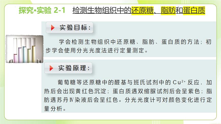 滬科技版(2020)高中生物 必修一 探究實(shí)驗(yàn)2-1檢測(cè)生物組織中的還原糖、脂肪和蛋白質(zhì) 課件第3頁(yè)