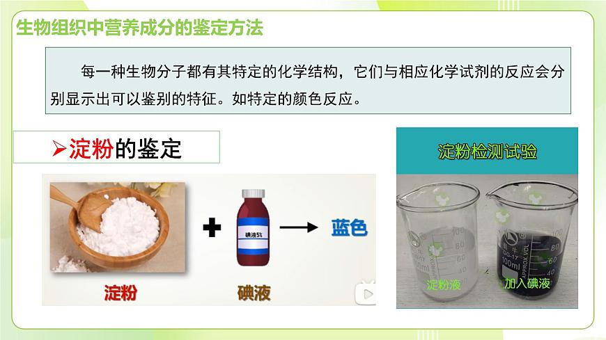 滬科技版(2020)高中生物 必修一 探究實(shí)驗(yàn)2-1檢測(cè)生物組織中的還原糖、脂肪和蛋白質(zhì) 課件第4頁(yè)