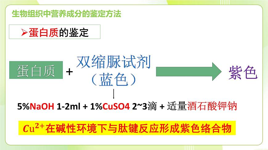 滬科技版(2020)高中生物 必修一 探究實(shí)驗(yàn)2-1檢測(cè)生物組織中的還原糖、脂肪和蛋白質(zhì) 課件第7頁(yè)