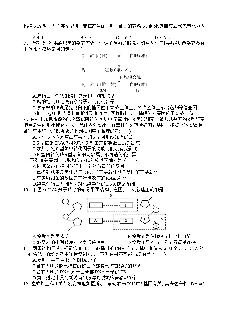 生物试题第2页
