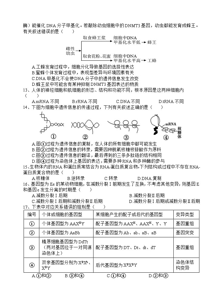 生物试题第3页
