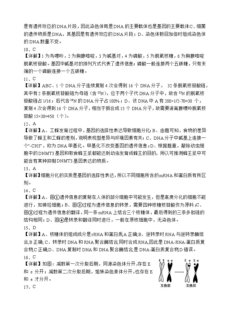 生物答案第2页
