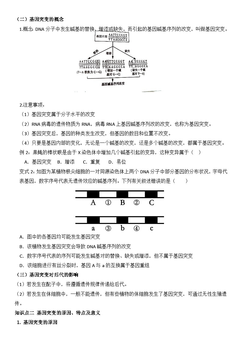 高中生物一轮复习学案 基因突变第2页