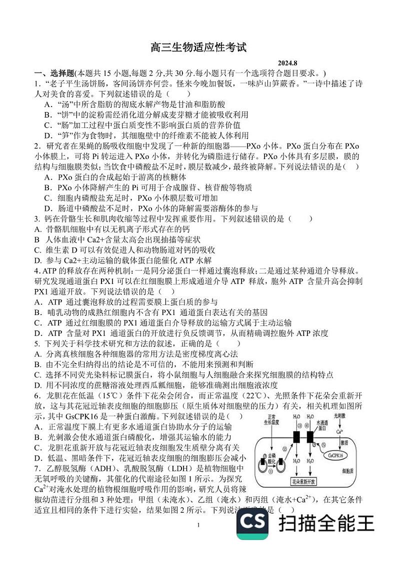 山东省东明县第一中学2025届高三上学期开学考试生物试题(PDF版附答案)01