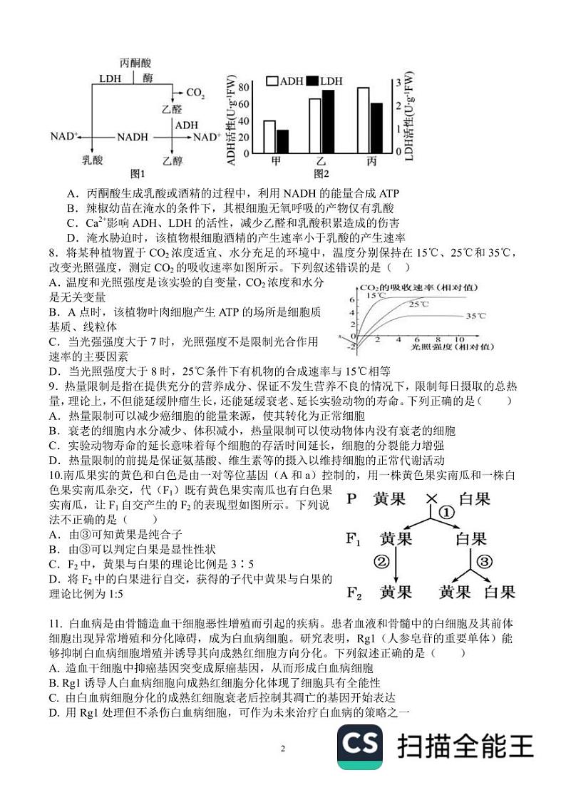 山东省东明县第一中学2025届高三上学期开学考试生物试题(PDF版附答案)02