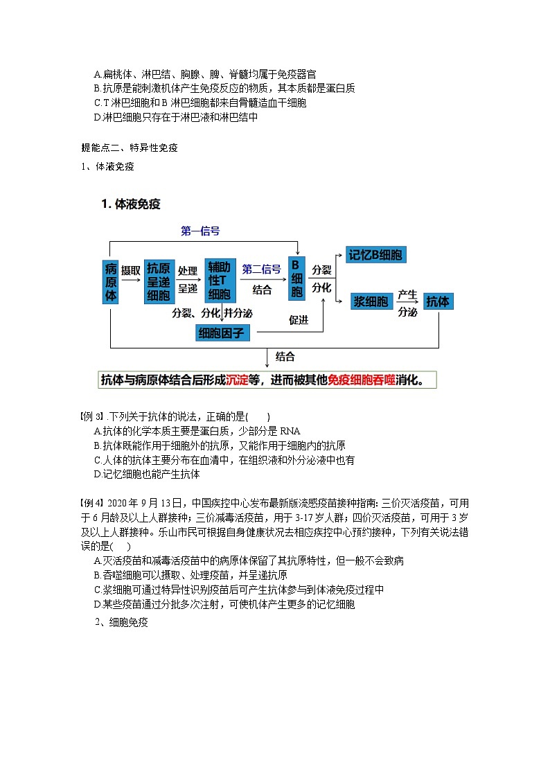 第四章 免疫调节学案 高中生物人教版选择性必修一第2页