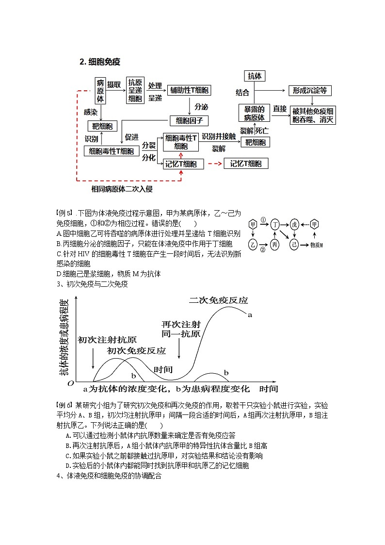 第四章 免疫调节学案 高中生物人教版选择性必修一第3页