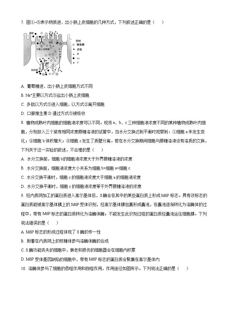 2025届四川省德阳市什邡中学高三一模生物试题 Word版无答案第3页