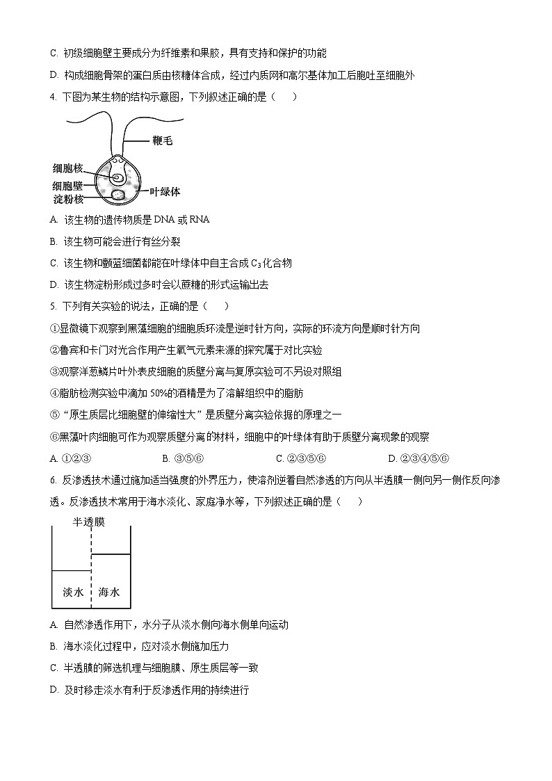 重庆市沙坪坝区南开中学校2024-2025学年高三上学期9月第一次质量检测生物试题 Word版无答案第2页