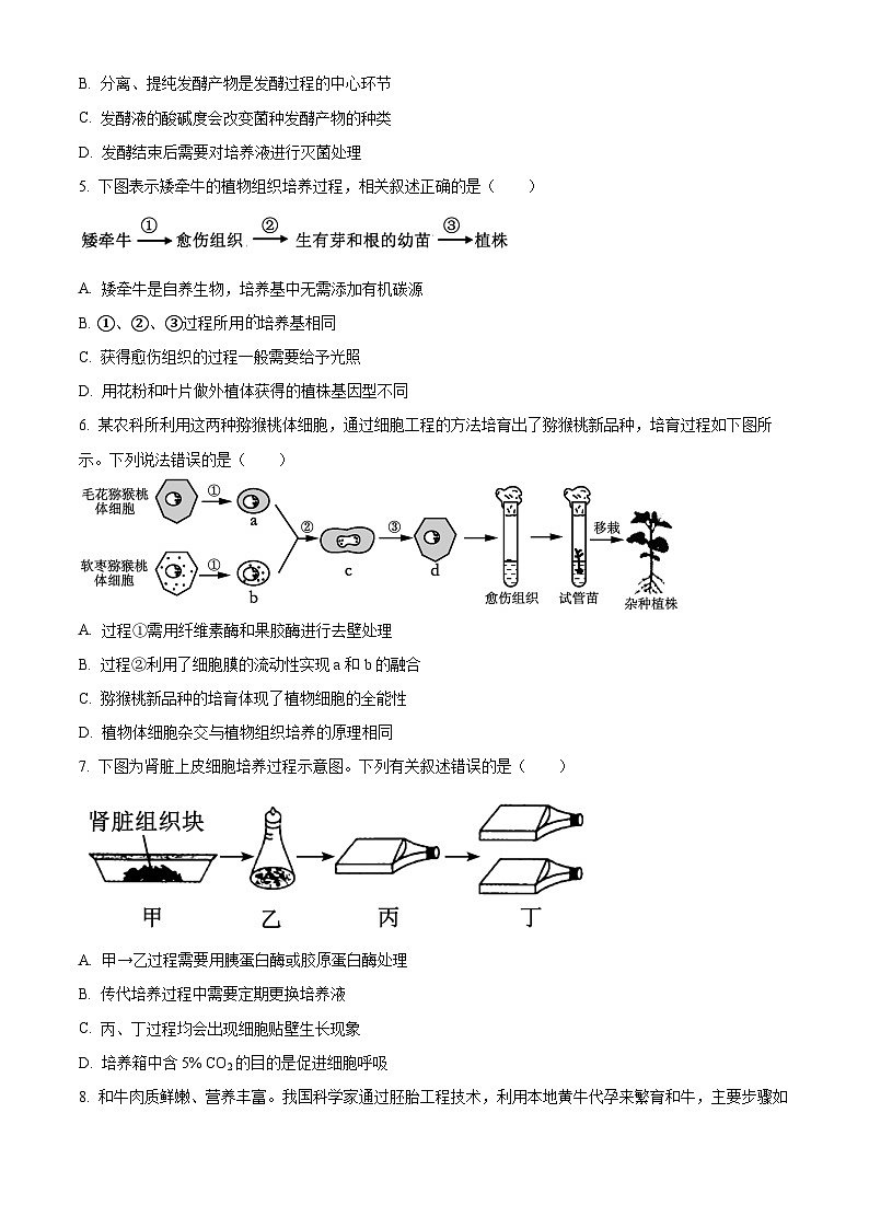 北京市丰台区2023-2024学年高二下学期期中练习生物(B卷)试题 Word版无答案第2页